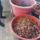 تمور حائل الفاخره