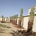 يوجد لدينا جميع انواع انخيل