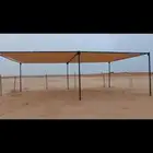 مضلات ابل وغنم