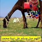 مطلوب بكره ثنيه ضحيه