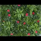 مستودع جملة فنوون العشب