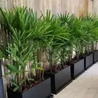 أحواض زراعيه فيبراعمال الحدائق