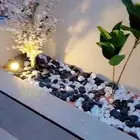 مشتل تنسيق حدايق