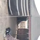 خيمه