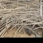 عسيب للبيع ببريده حي المعلمين