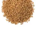 بذور برسيم ابو غزالة