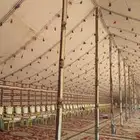 منظم حفلات ومناسبات تأسيس خيم تراثيه خيم شعبية قهوجين صبابين