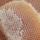 عسل سدر عسل سمرة عسل طلح مضمون وعلى الشرط