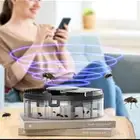 صائد ذباب بدون رائحه أو اصوات