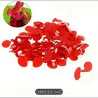 نظارات داوجن للبيع