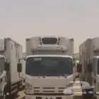 تأجير دينا تبريد و تجميد 2023