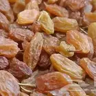 زبيب رزقي يمني للوز البلدي خولاني وصل الجديد