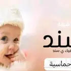 شيلة مولوده حماسية قابلة لتعديل بالاسماء