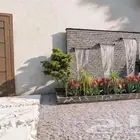 زراعة ولاندسكيب