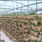 تصميم وتنفيذ زراعة مائية