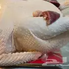 ذبح رومي ذكور