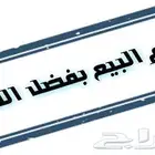ديوك بلدي انباعت