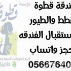 فندقة القطط والطيور