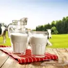 حليب ولبن بقري طازج