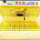 فقاسة مقاس 63بيضة حماَم وسمان مع شحن مجانيه