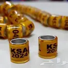 حجول حمام 2024