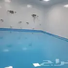 اصباغ ديكورات عامه ابكسي ارضيات