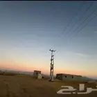 للإستثمار ارض عليها رخصة دواجن شمال شرق مستورة منطقة مكة