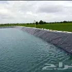 بحيرات تجميع مياه احواض زراعية احواض سمك بيت محمي