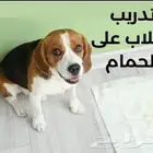 مدرب كلاب برايفت