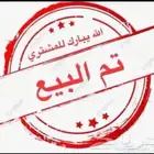 طيور