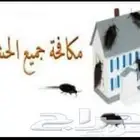 شركة مكافحة حشرات رش بق وصراصير وعقارب بالمدينة