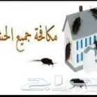 شركة مكافحة حشرات رش صراصير وبق وعقارب بالمدينة المنورة