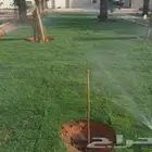 تنسيق الحدائق الطبيعي
