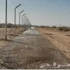 توري نخيل وأشجار زيتون