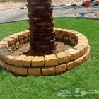 تنسيق الحدائق و الزراعه