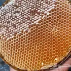 عسل سدر و عسل متزوجين تخفيضات اليوم الوطني اي منتج خصم 64