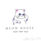 فندقة قطط