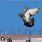 طاردالحمام مكيفات فايبر جلاس خارجية شباك حمام فايبر مرواح