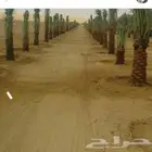 ابو علي لتوريد انخيل