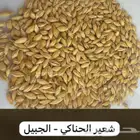 شعير درجه اولى