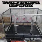 روز عصافير كروان فيشر تفصيل حديد قط حمام