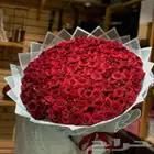 ورد احمر