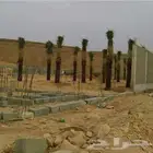 يوجد لدينا جميع انواع انخيل واشنطن وعربي تحت اشراف ابو علي