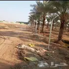 توريد وتركيب شبوك المزارع والاراضي البيضاء بكل المقاييس