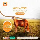ذبايح جده - حري - نعيمي - سواكني - ذبائح ثلاجه تيس