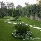 زرع طبيعي وتيل طبيعي وأشجار طبيعي وسماد الأماني مشتل زرع