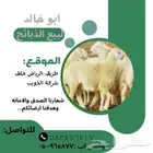 السلام عليكم يوجد لدينا ذبايح