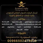 برقيات السعودية   TelegramKSA