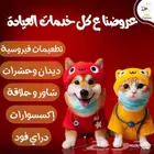 فريق بيطري للقطط