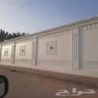 لياسه ملونه متميزه